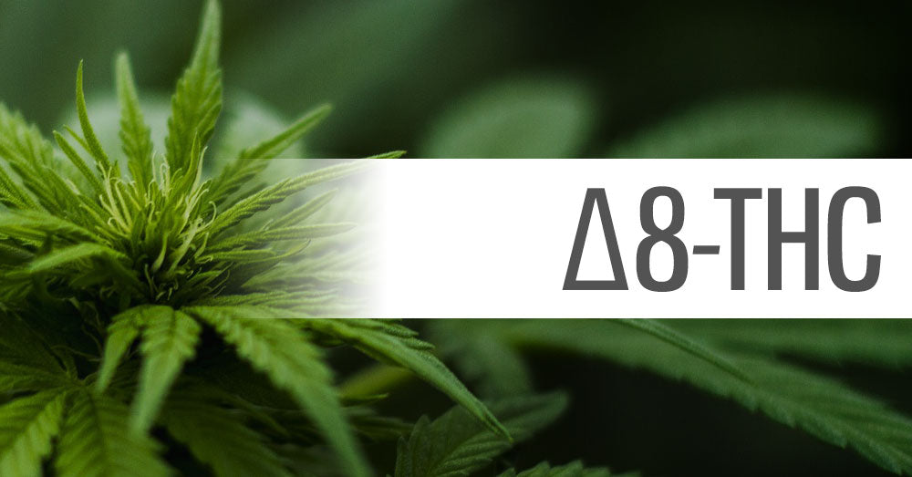 Meet The “Mellowed-Out” THC Variant: A Beginner’s Guide To Delta-8-THC